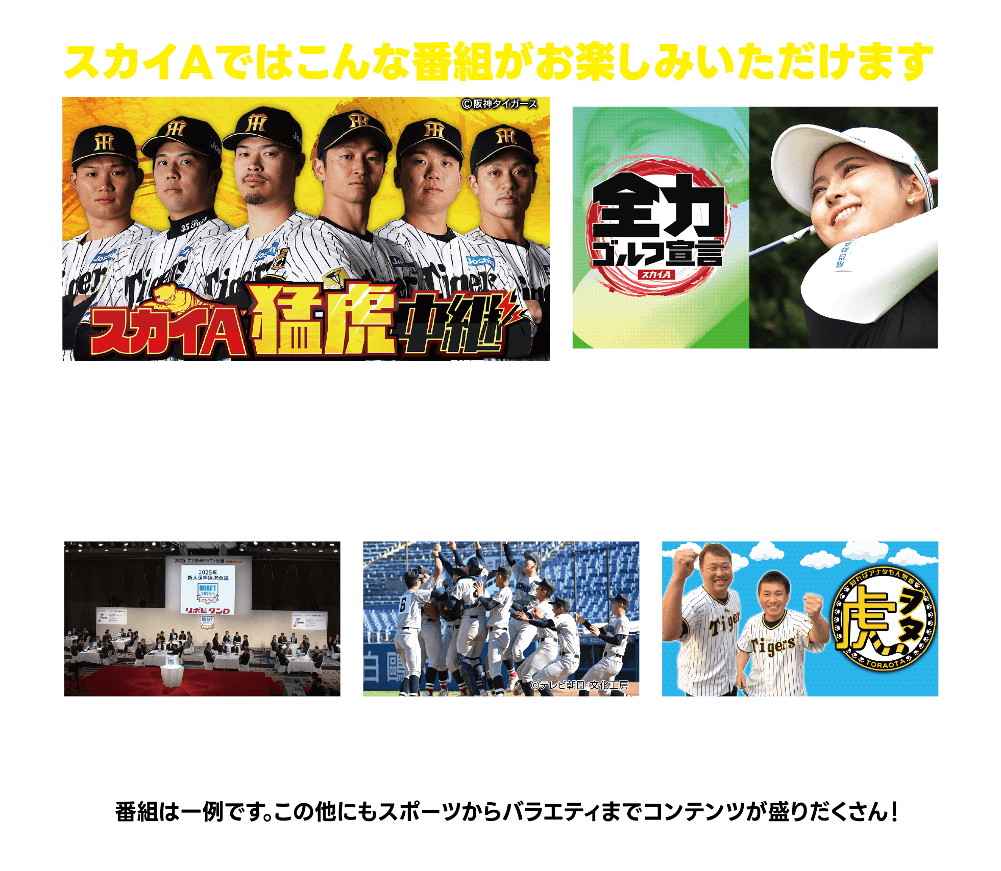 スカイAではこんな番組がお楽しみいただけます　・スカイＡ猛虎中継阪神タイガース 公式戦---「スカイＡ猛虎中継」は阪神タイガース主催公式戦を年間60試合以上徹底放送！試合終了後のヒーローインタビューまで逃さずお届け！さらには期待の若トラが活躍するファーム戦、オフシーズンのキャンプ中継やバラエティ番組と年中トラづくし！　・スカイＡ全力ゴルフ宣言ゴルフトーナメント中継---女子ツアーを中心に、試合前練習や朝一番のティーショットからじっくりとお届け。若手女子ゴルファーの登竜門「JLPGAステップ・アップ・ツアー」は全大会放送！　・プロ野球ドラフト会議---1位指名から育成枠最終指名まで完全生中継！　・明治神宮野球大会---夏の高校野球関連はもちろん大学野球も幅広くお届け！　・虎オタ---阪神タイガース情報バラエティ！マニアックな虎トークをお届け！　番組は一例です。この他にもスポーツからバラエティまでコンテンツが盛りだくさん！