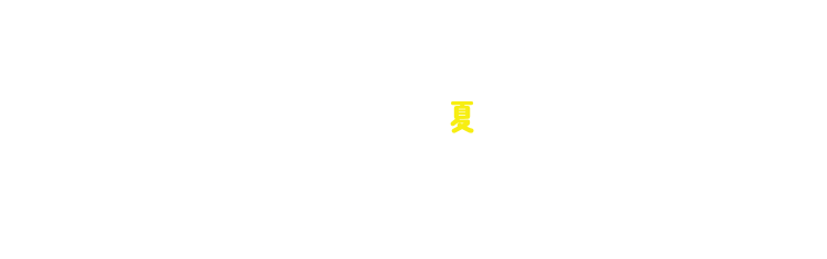 ワイワイひかりインターネット１年間割引キャンペーン！
